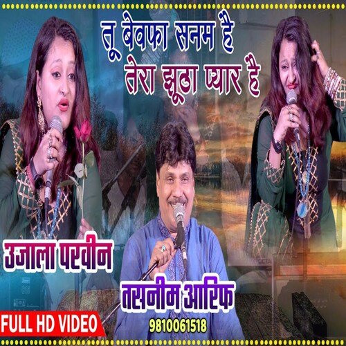 Tu Bewafa Sanam Hai