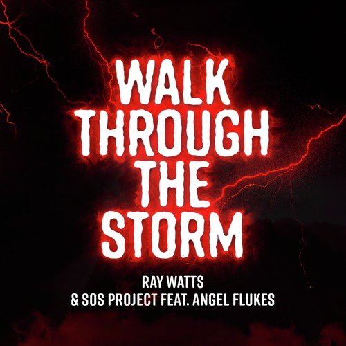 Walk Through the Storm_poster_image