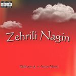 Zehrili Nagin