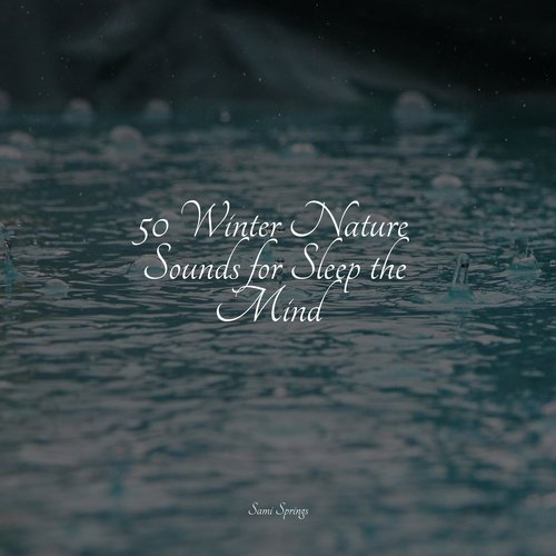 50 Winter Nature Sounds for Sleep the Mind_poster_image