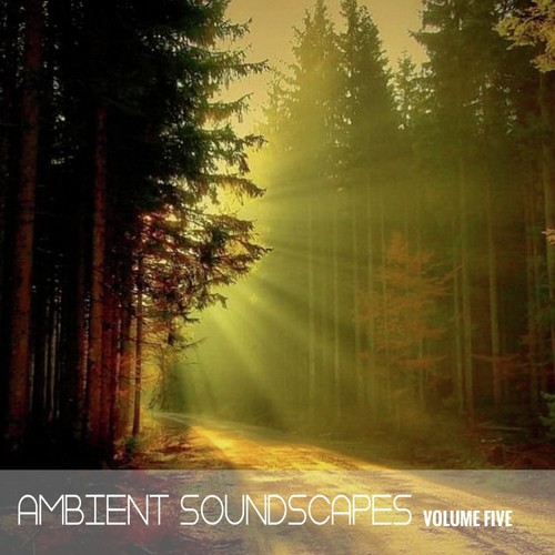 Ambient SoundScapes, Vol. 5