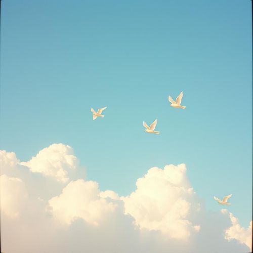 Anges Vivants cover art
