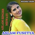 Aslam Fusetya ki love story