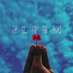 Bloom-FgAFUEFpWws