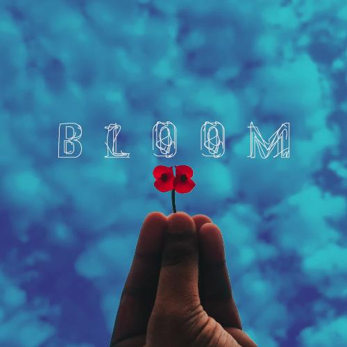 Bloom