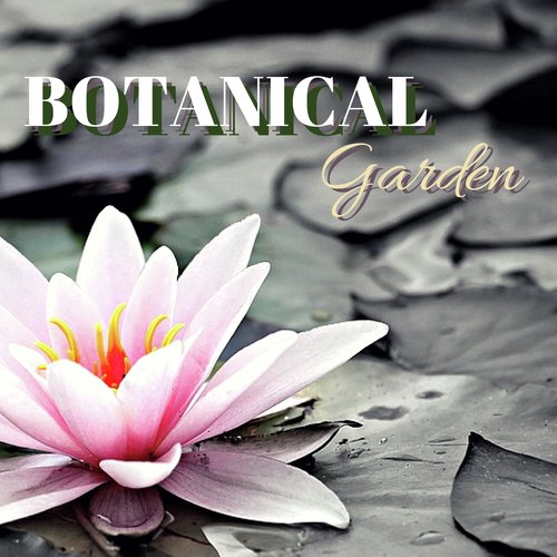 Botanical Garden - Enchanted Zen Garden Magical Sounds to Reclaim Spiritual Energy