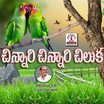 Chinnari Chinnari Chiluka