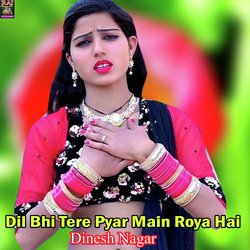 Dil Bhi Tere Pyar Main Roya Hai-F15YWjx4ewM