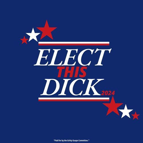 Elect This Dick_poster_image