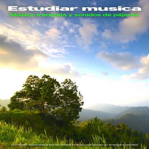 Musica para concentrarse cover art