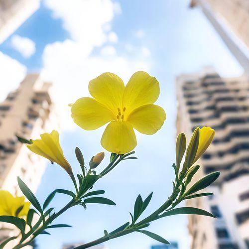 Flowers (feat. Avihartii)