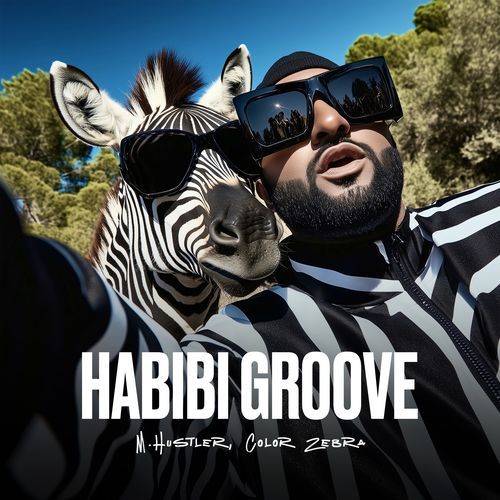 Habibi Groove