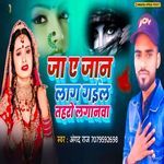 Ja Aa Jaan Lagil Tohare Laganawa