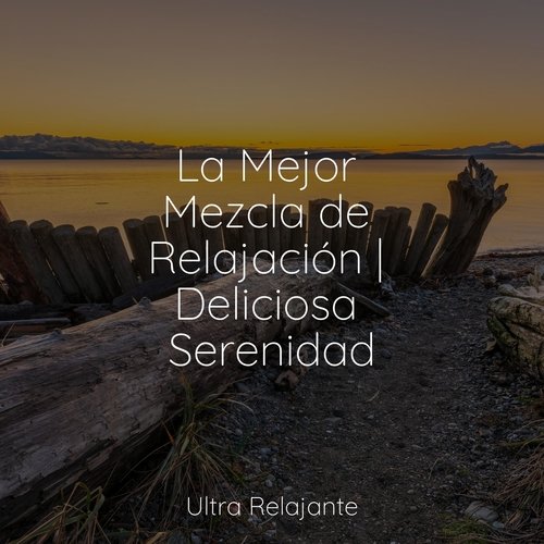 Sueño de Bebé cover art