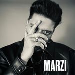 MARZI