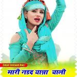 मारी नदड यात्रा चाली