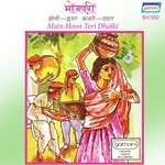 Main Hoon Teri Dholki