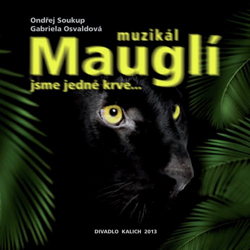 Supí Píseň cover art