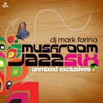 Mark Farina