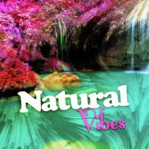 Natural Vibes_poster_image