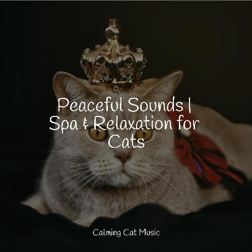 Peaceful Sounds | Spa & Relaxation for Cats