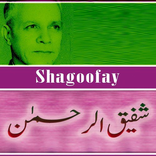 Shagoofay
