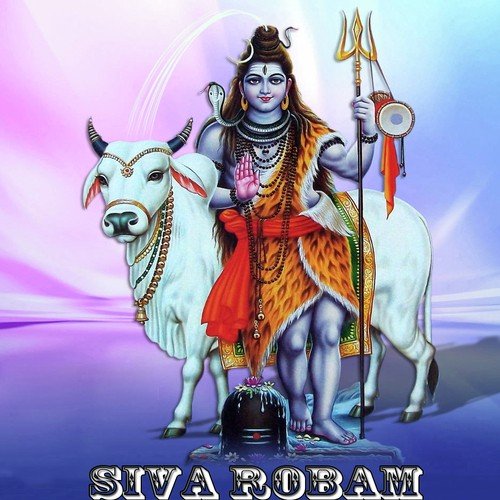 Siva Robam