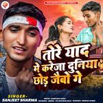 Tore Yad Me Kareja Duniya Chod Jaibau Ge