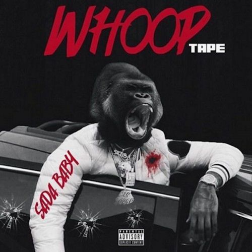 Lil Blood Nem cover art
