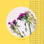 Wonderful (Extended)