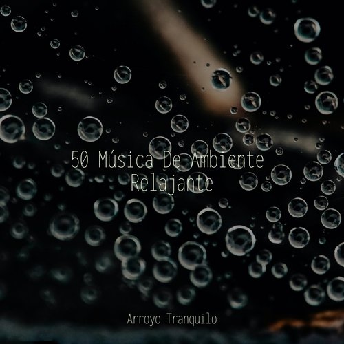 Oasis De Fantasía cover art