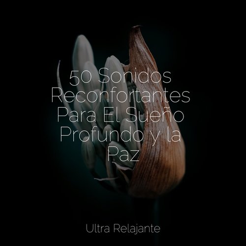 50 Sonidos Reconfortantes Para El Sueño Profundo y la Paz_poster_image