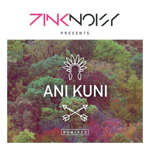 Ani Kuni (Dreamers Inc. Remix) cover art