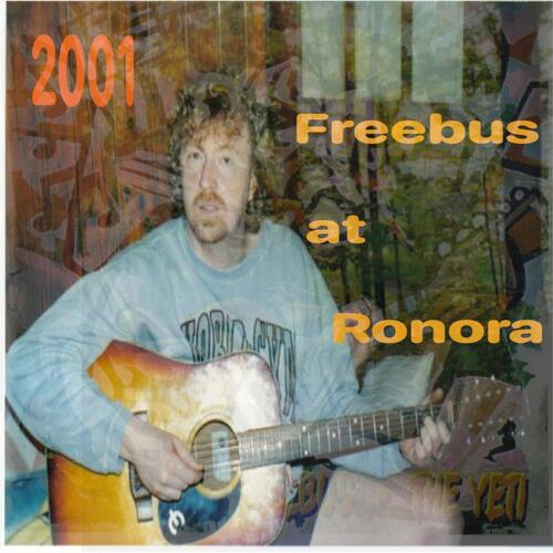 Camp Ronora 2001 cover art