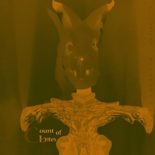 Square Root of Beggar cover art