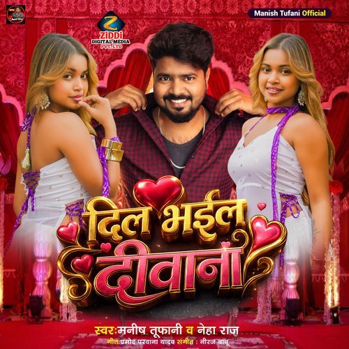 Dil Bhail Deewana cover art