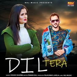 Dil Tera-NS87YSVTe18