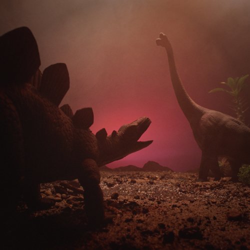 Diorama cover art