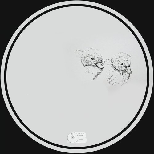 Body Z cover art