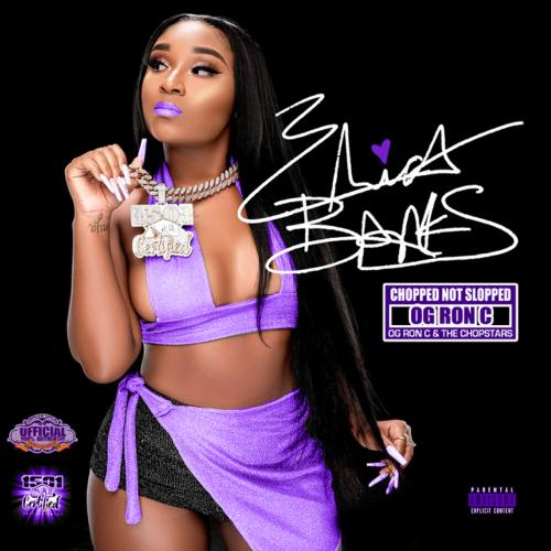 Erica Banks (Chopped Not Slopped)_poster_image