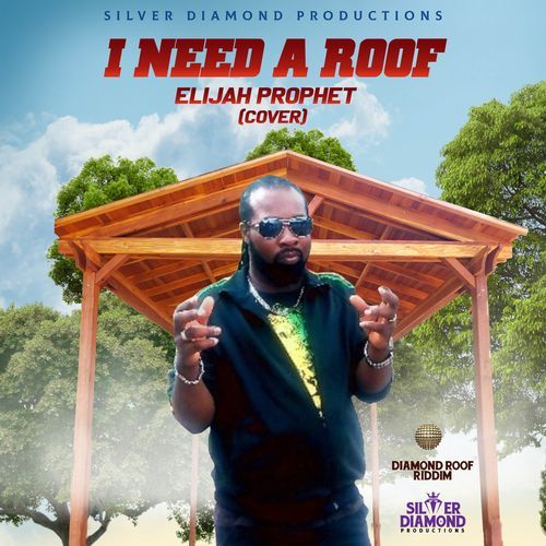 I Need A Roof (Cover)