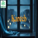 Kareeb