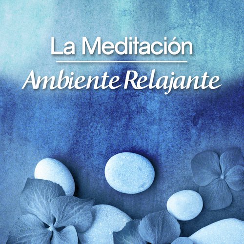 La Meditación Ambiente Relajante