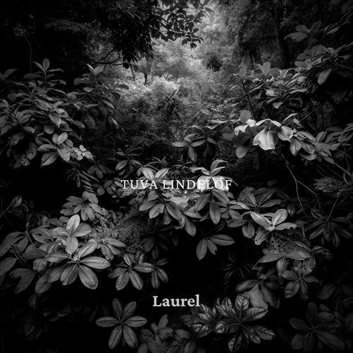 Laurel