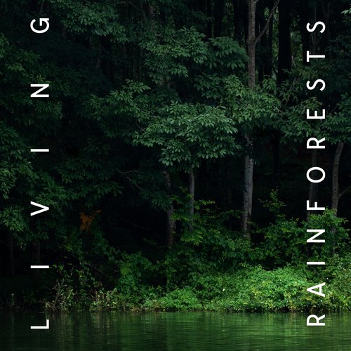 Jungle ASMR Sounds cover art