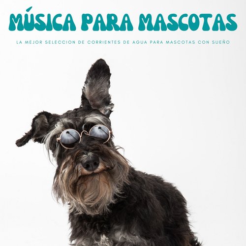 Gatos Dormidos cover art