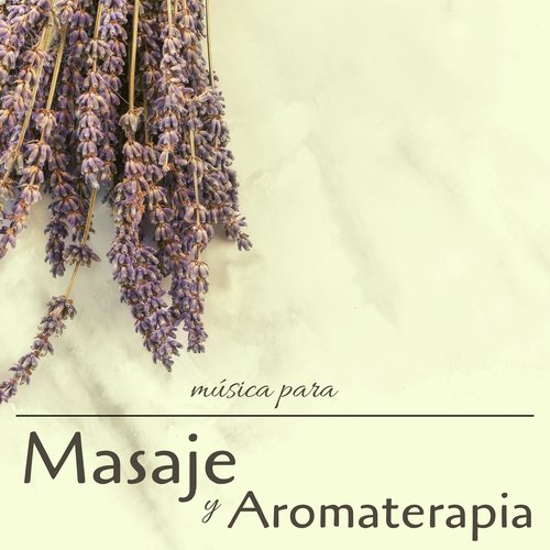Paz y Tranquilidad cover art