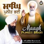 Maagh Puneet Bhayi artwork