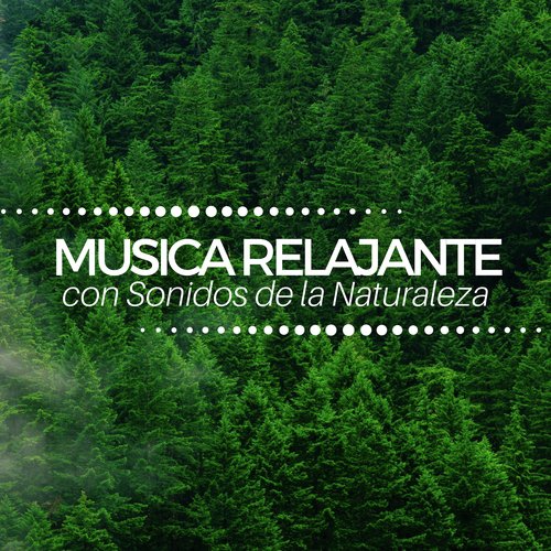 Música Para Armonizar El Alma - Song Download from Musica