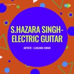 S Hazara Singh Electric Guitar